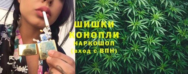spice Горняк